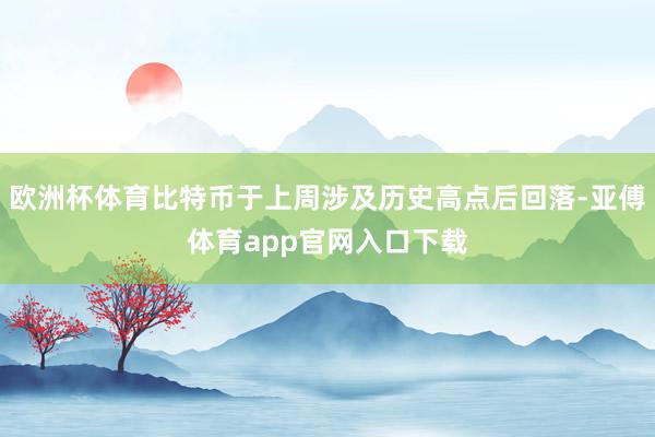 歐洲杯體育比特幣于上周涉及歷史高點后回落-亞傅體育app官網(wǎng)入口下載