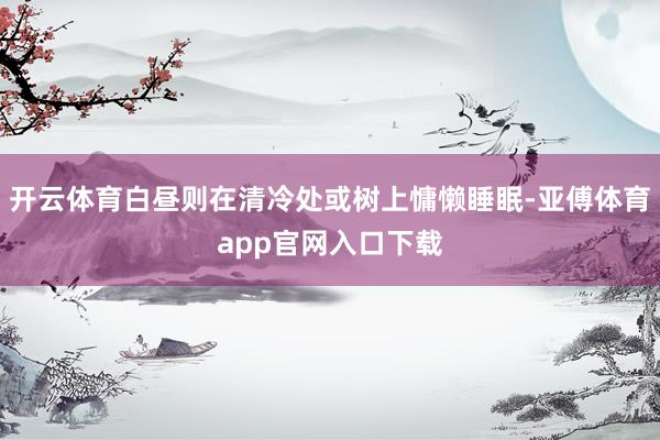 開云體育白晝則在清冷處或樹上慵懶睡眠-亞傅體育app官網入口下載