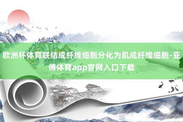 歐洲杯體育聯結成纖維細胞分化為肌成纖維細胞-亞傅體育app官