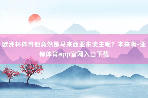 歐洲杯體育他竟然是馬來西亞東談主呢？本來啊-亞傅體育app官